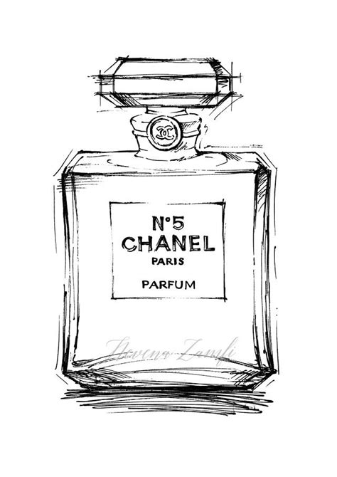 chanel perfume bottle drawing|chanel no 5 drawing.